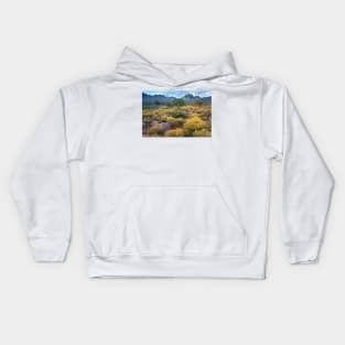 Organ Mountains Chihuahuan Desert Kids Hoodie